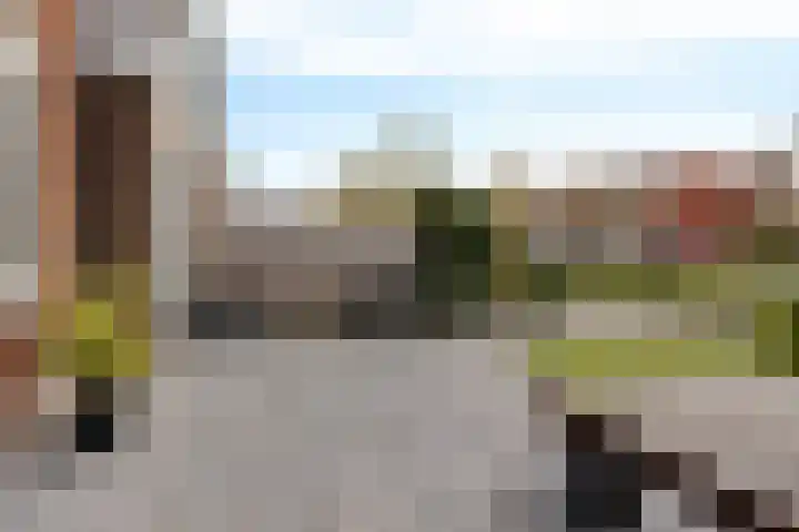 Paterswoldseweg 472 Groningen thumbnail 16