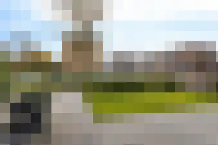 Paterswoldseweg 472 Groningen thumbnail 17