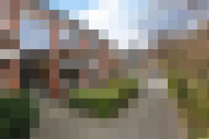 Paterswoldseweg 472 Groningen thumbnail 20