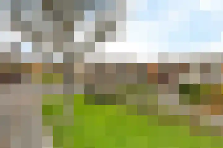 Paterswoldseweg 472 Groningen thumbnail 21