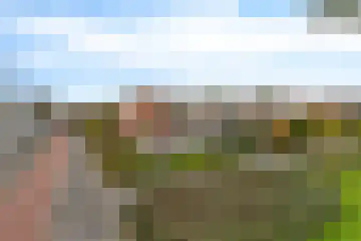 Paterswoldseweg 472 Groningen thumbnail 22