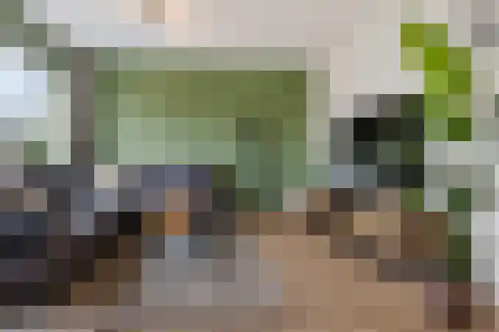 Paterswoldseweg 472 Groningen thumbnail 5