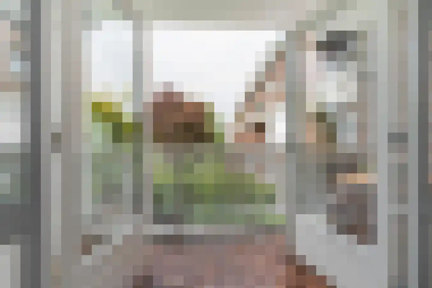 Paterswoldseweg 49 Groningen thumbnail 24