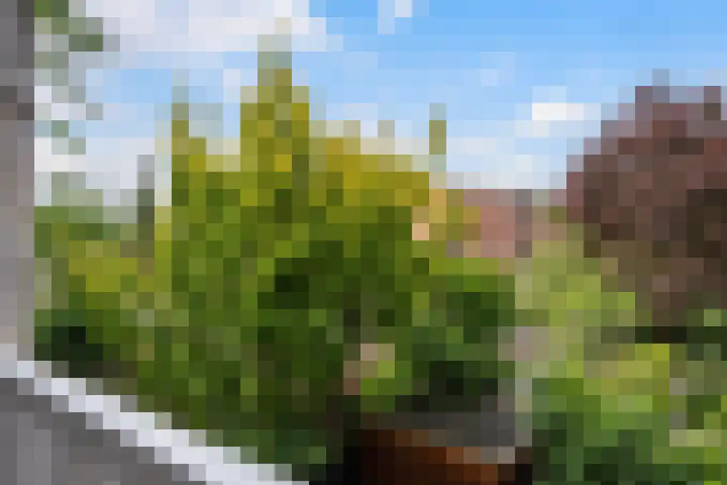 Paterswoldseweg 49 Groningen thumbnail 26