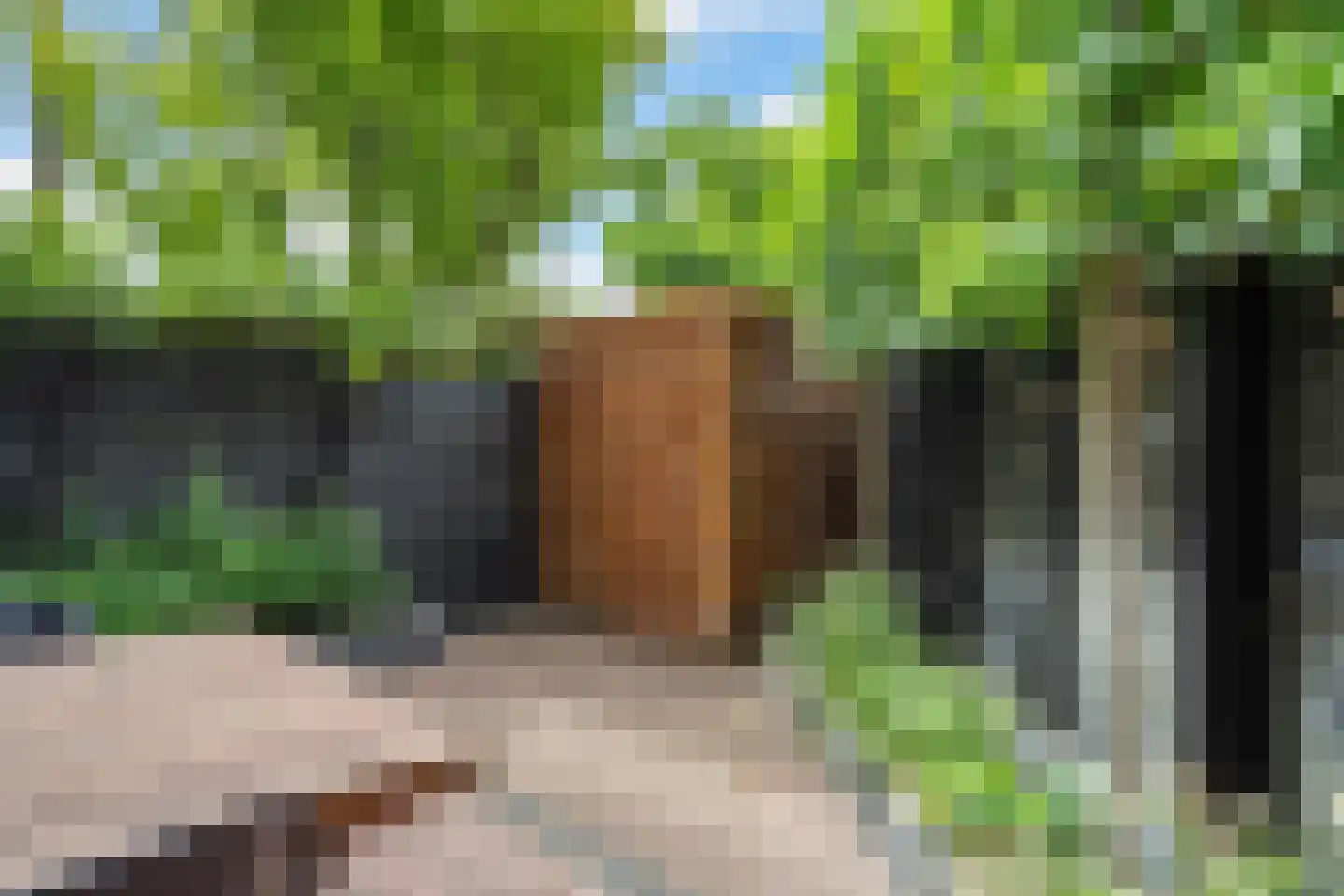 Paterswoldseweg 49 Groningen thumbnail 37