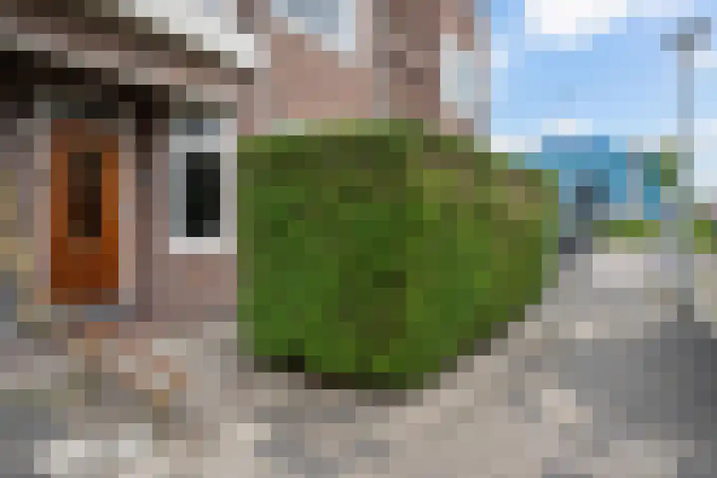 Paterswoldseweg 49 Groningen thumbnail 38