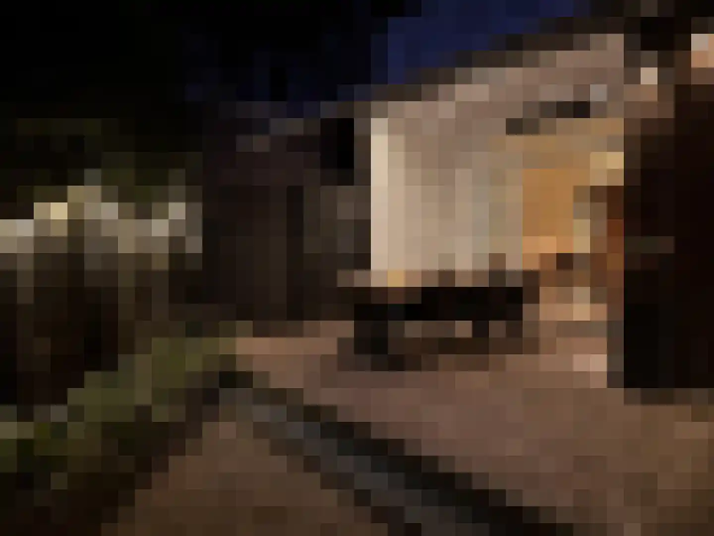 Paterswoldseweg 49 Groningen thumbnail 40