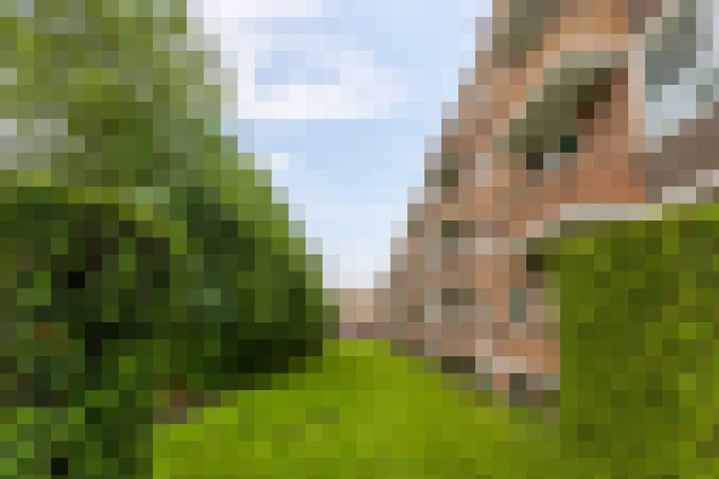 Paterswoldseweg 498 Groningen thumbnail 24