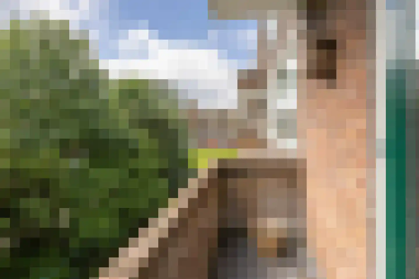 Paterswoldseweg 498 Groningen thumbnail 4