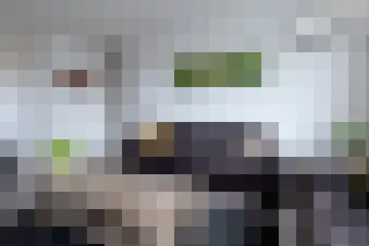 Paterswoldseweg 532 Groningen thumbnail 13
