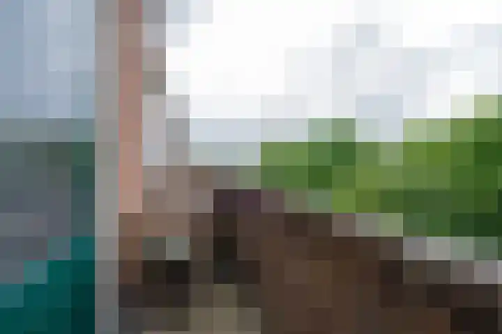 Paterswoldseweg 532 Groningen thumbnail 28