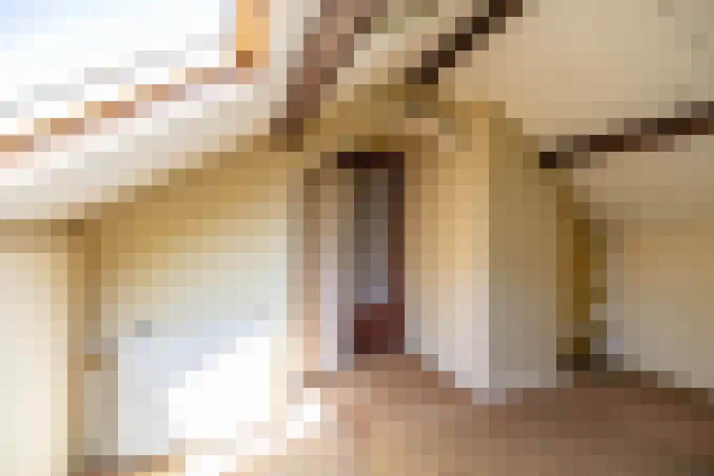 Paterswoldseweg 616 Groningen thumbnail 27