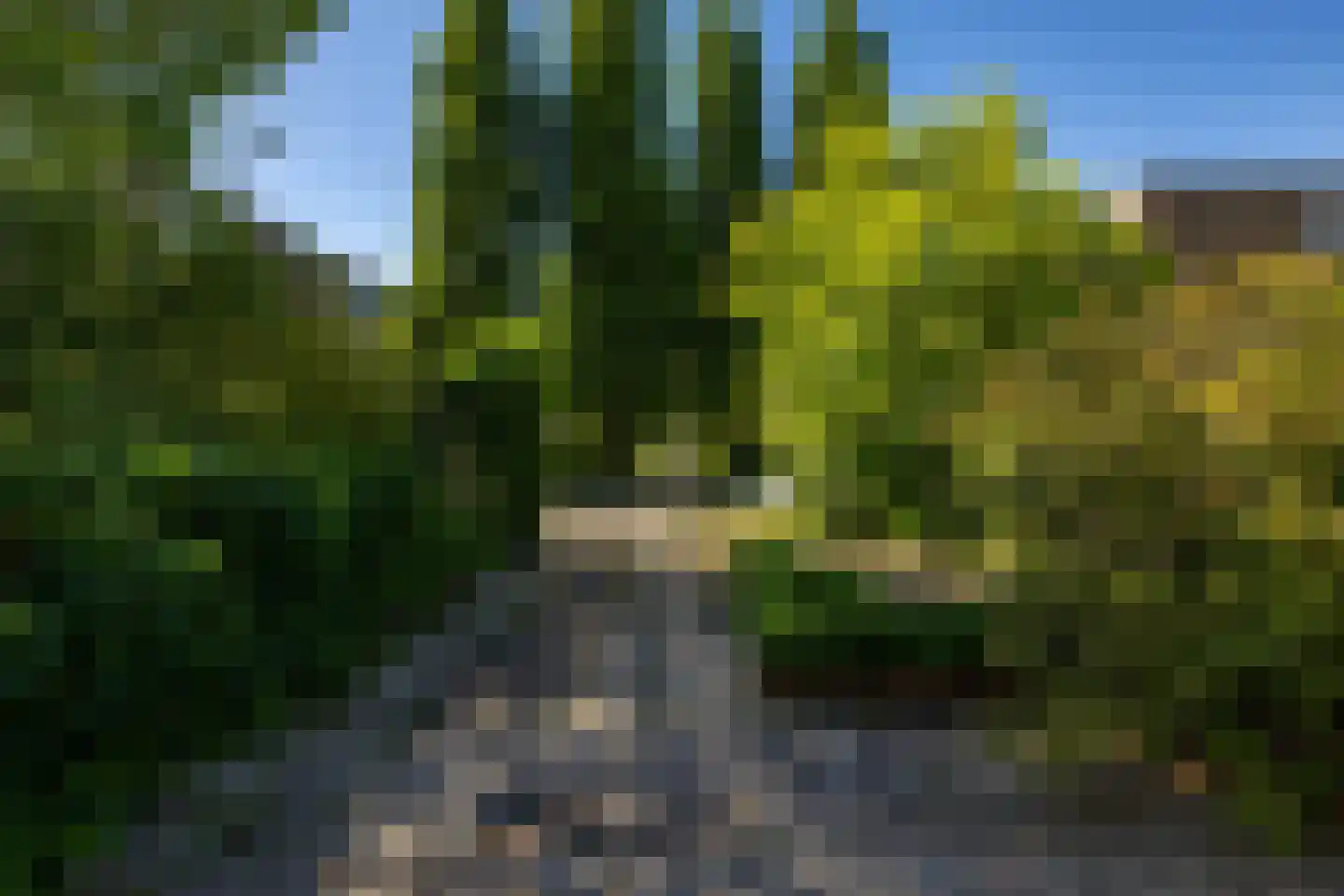 Paterswoldseweg 616 Groningen thumbnail 34