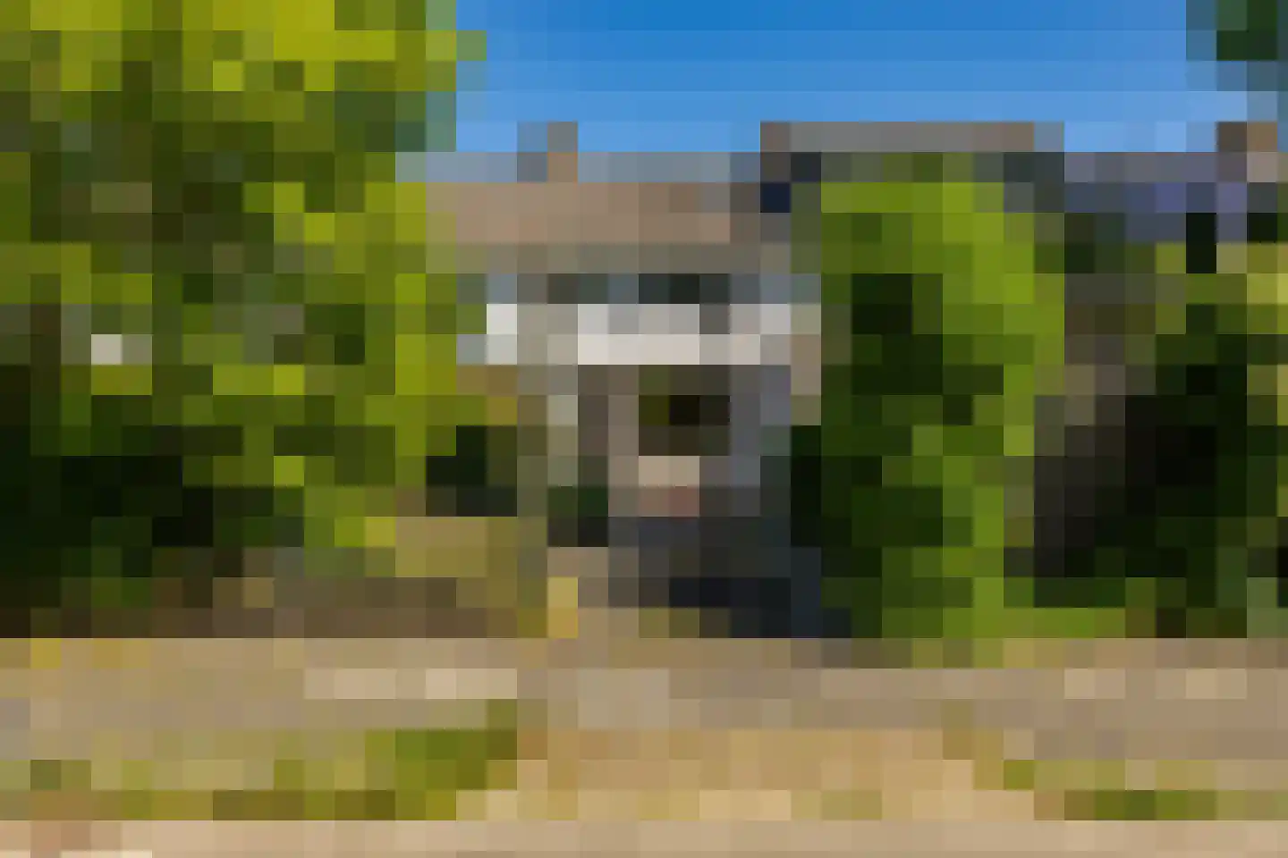 Paterswoldseweg 616 Groningen thumbnail 35