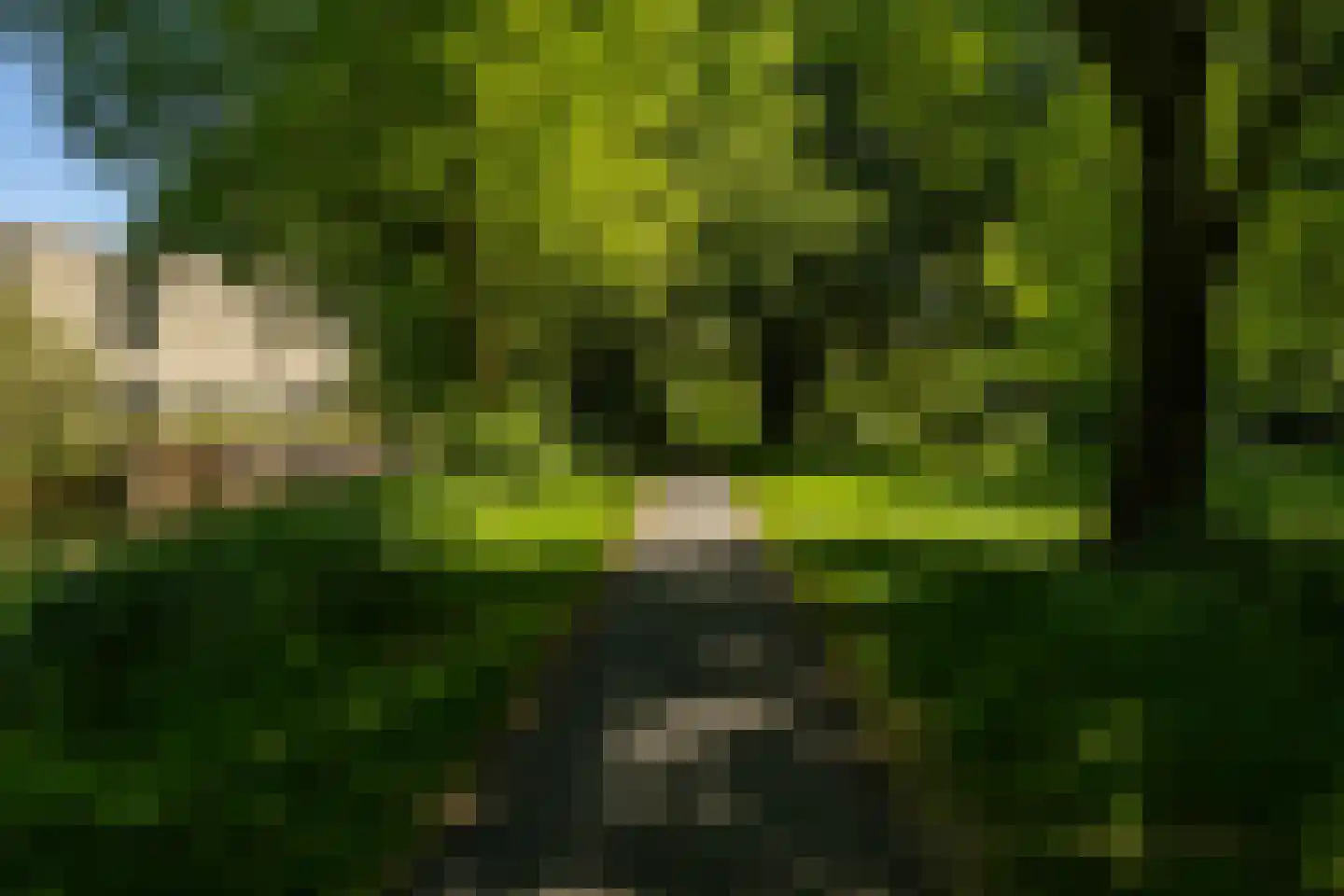 Paterswoldseweg 616 Groningen thumbnail 36