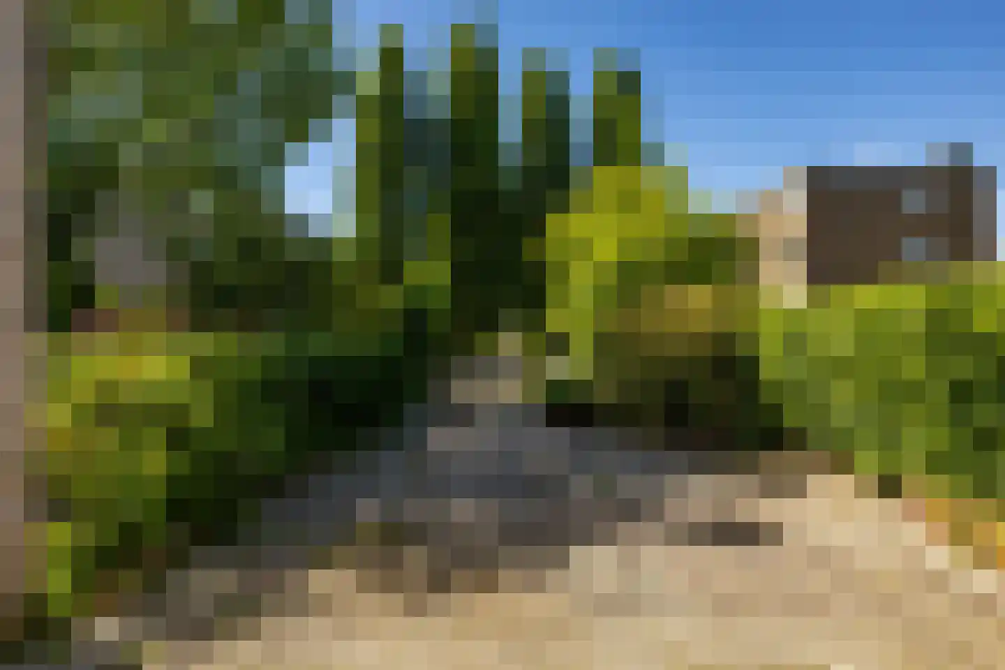 Paterswoldseweg 616 Groningen thumbnail 5