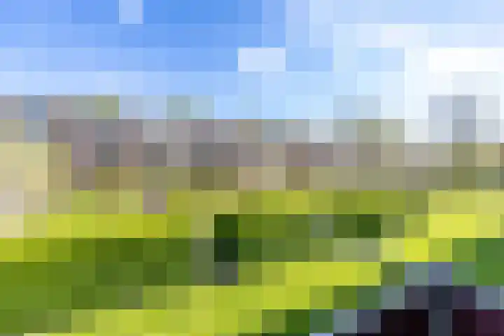 Paterswoldseweg 700 Groningen thumbnail 22