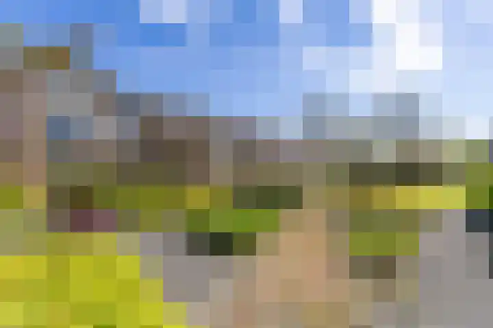Paterswoldseweg 700 Groningen thumbnail 25