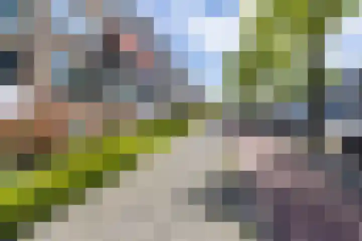 Paterswoldseweg 700 Groningen thumbnail 27