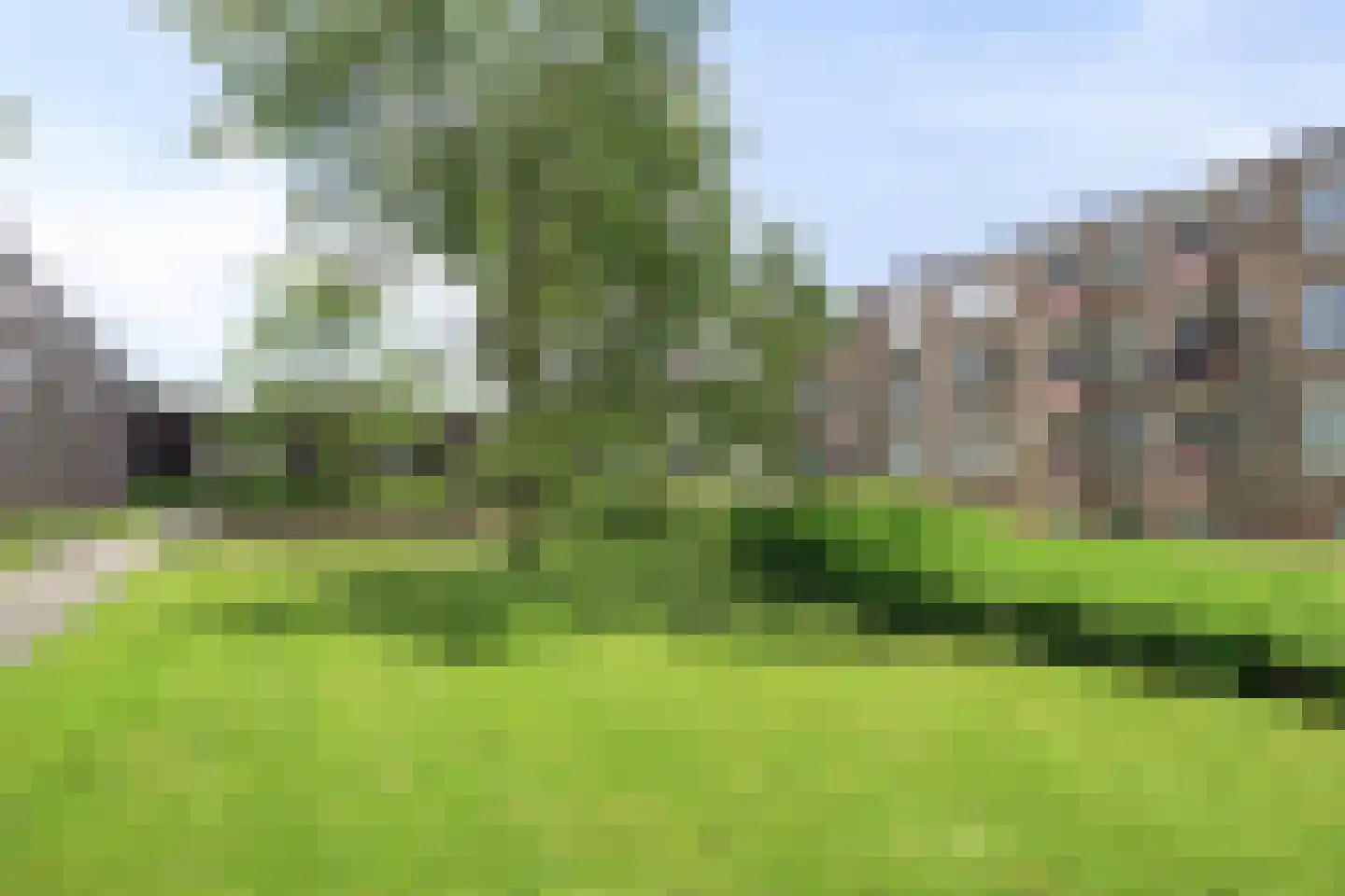 Paterswoldseweg 728 Groningen thumbnail 28