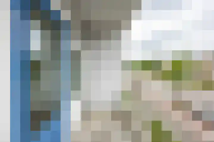 Paterswoldseweg 738 Groningen thumbnail 15