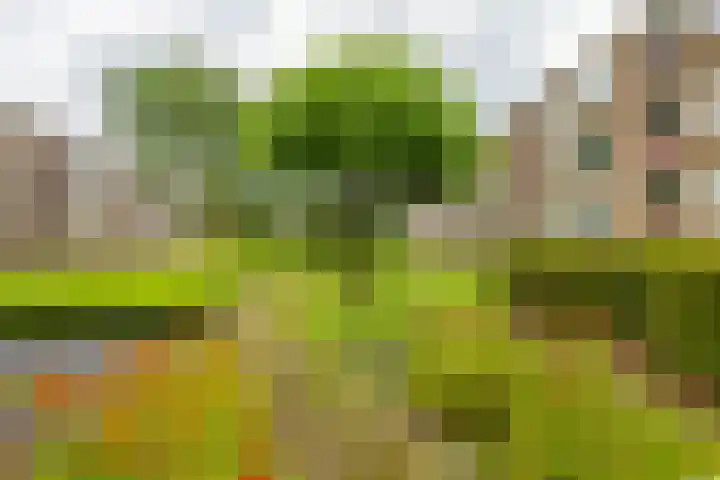 Paterswoldseweg 738 Groningen thumbnail 33