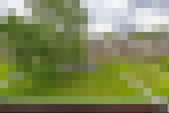 Paterswoldseweg 738 Groningen thumbnail 34