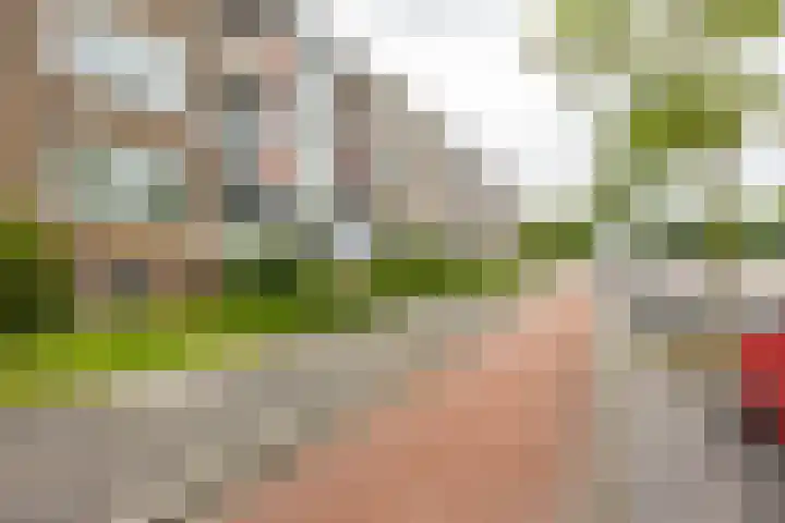 Paterswoldseweg 738 Groningen thumbnail 6