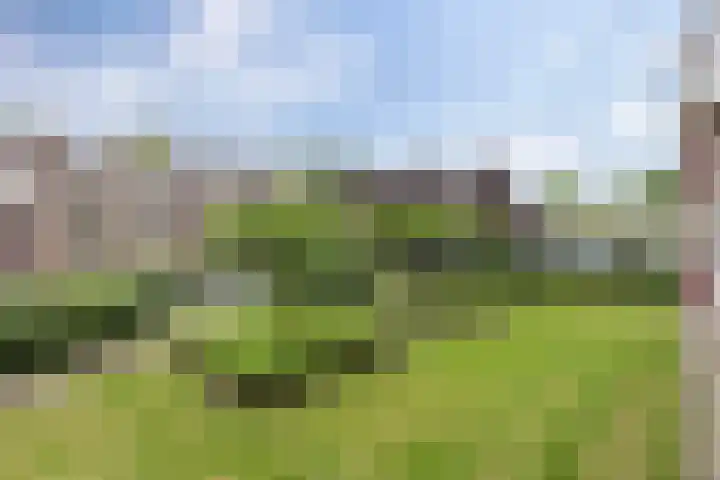 Paterswoldseweg 748 Groningen thumbnail 35