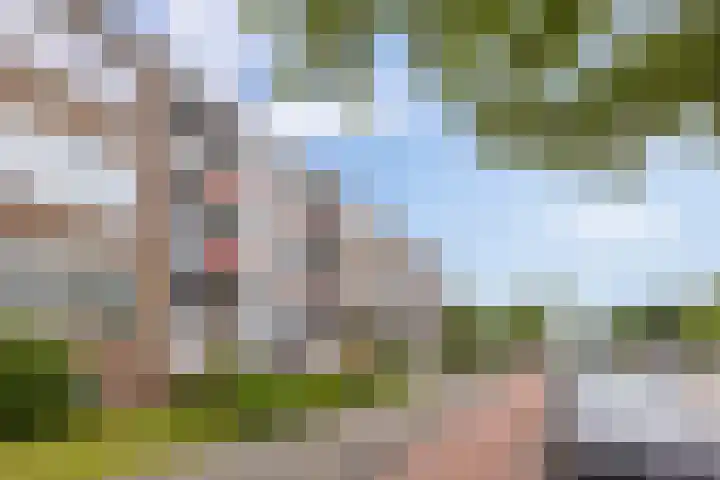 Paterswoldseweg 748 Groningen thumbnail 36