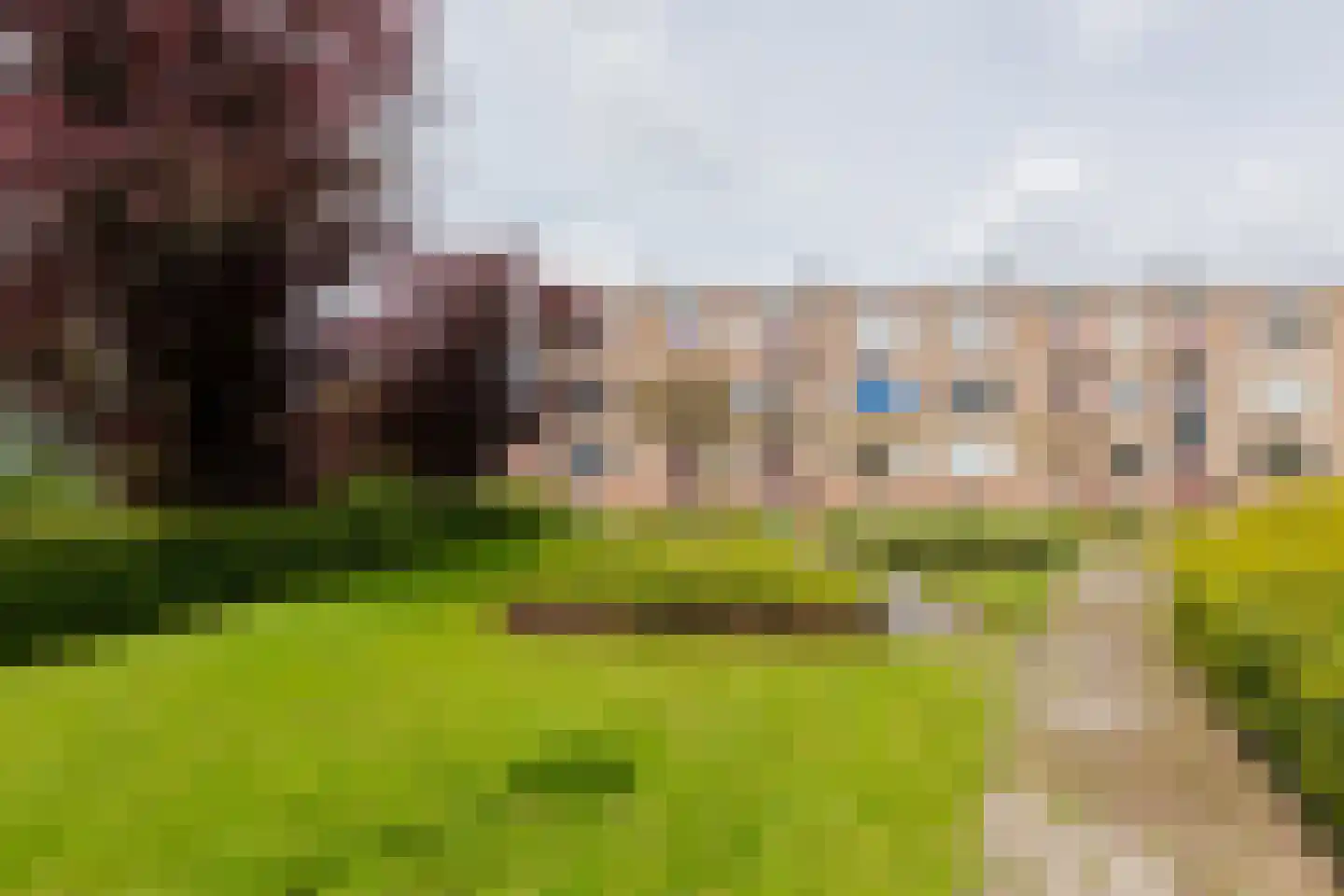 Paterswoldseweg 768 Groningen thumbnail 38