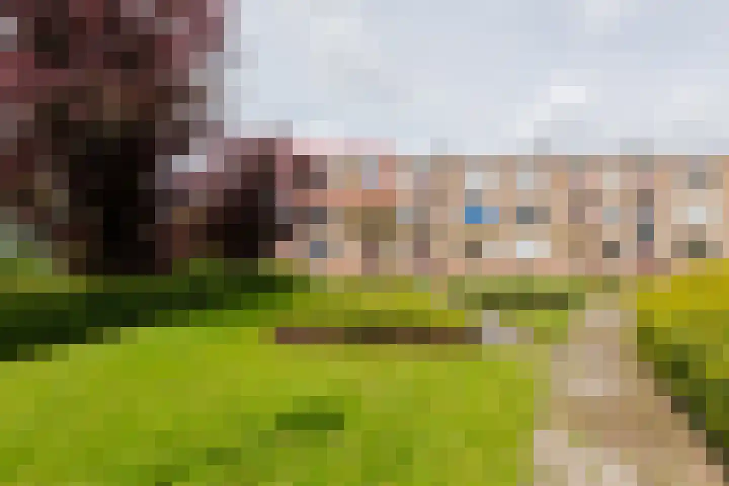 Paterswoldseweg 768 Groningen thumbnail 39