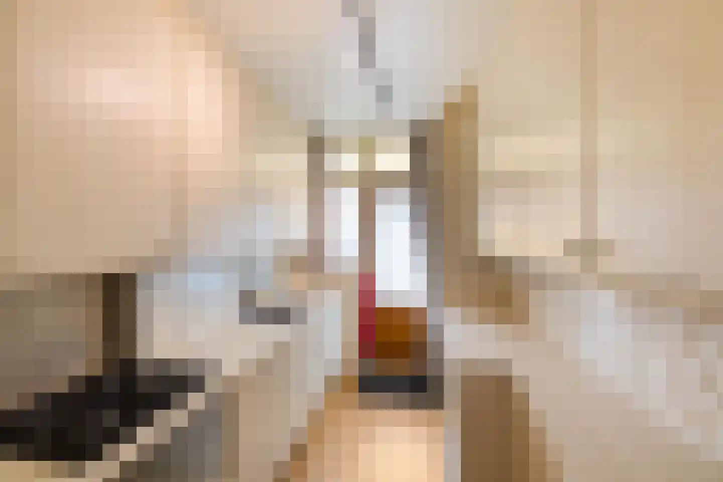 Paterswoldseweg 89 Groningen thumbnail 28