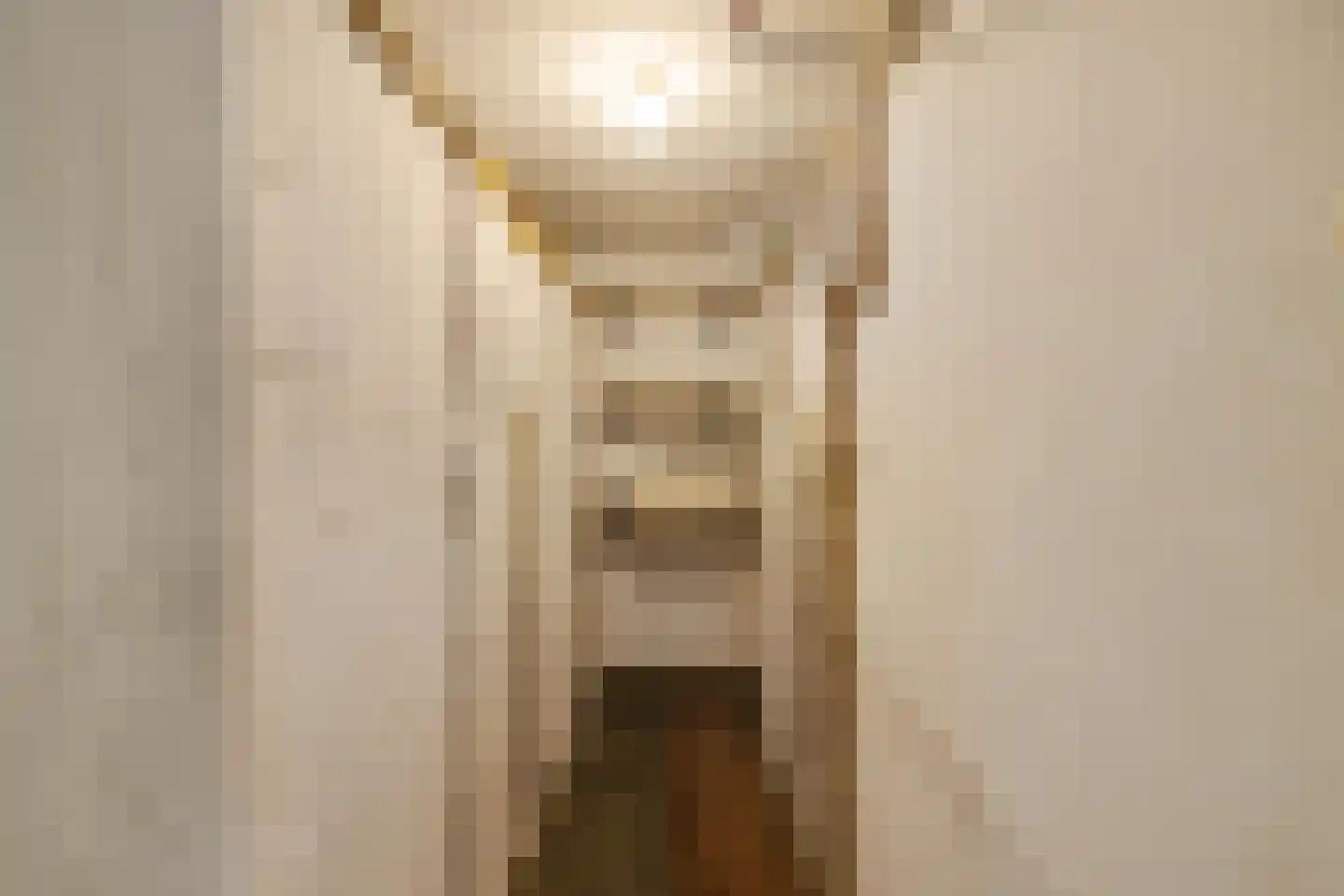 Paterswoldseweg 89 Groningen thumbnail 48