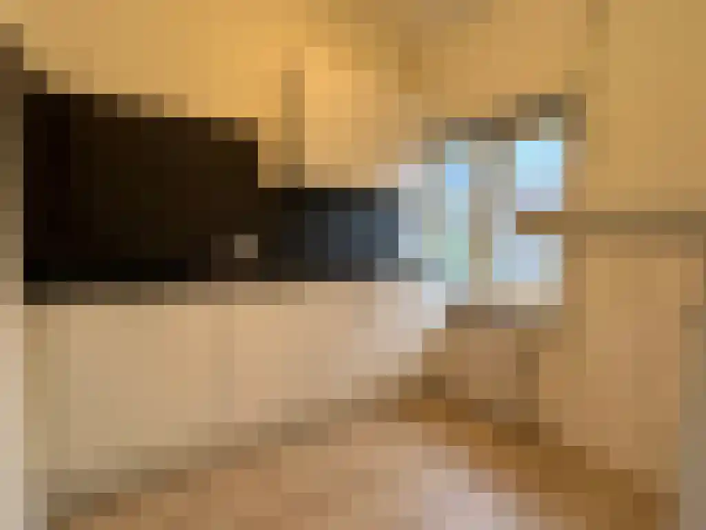 Paterswoldseweg Groningen thumbnail 4