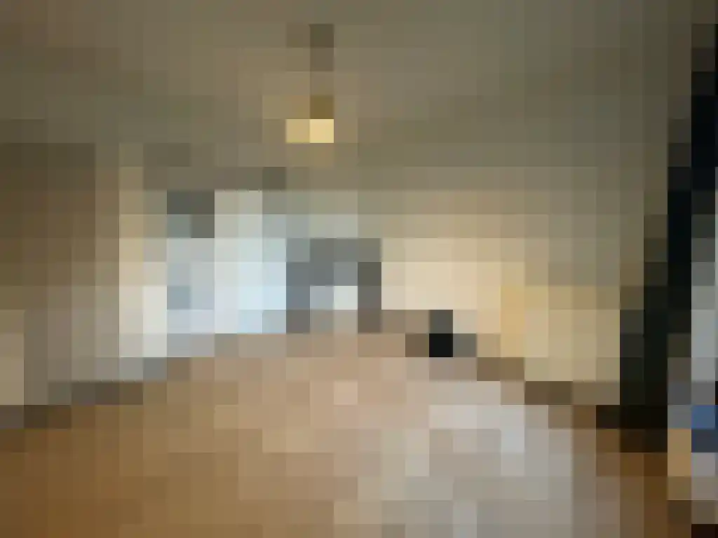 Paterswoldseweg Groningen thumbnail 4