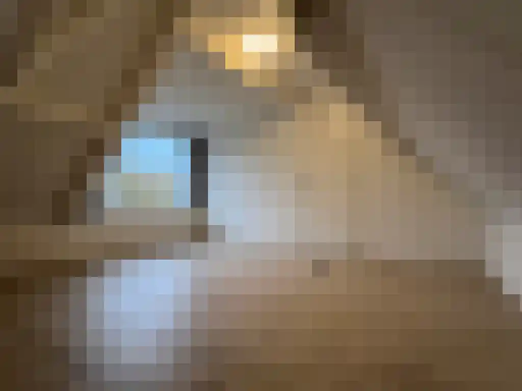 Paterswoldseweg Groningen thumbnail 6