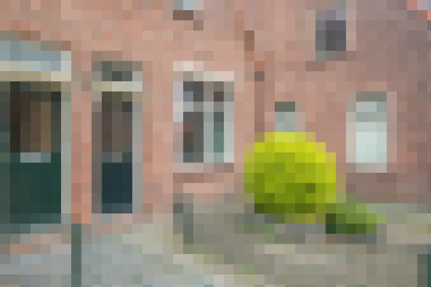 Pathmossingel 115 Enschede thumbnail 8
