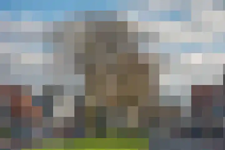 Pathmossingel 191 Enschede thumbnail 27