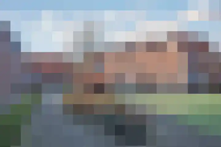 Pathmossingel 191 Enschede thumbnail 28