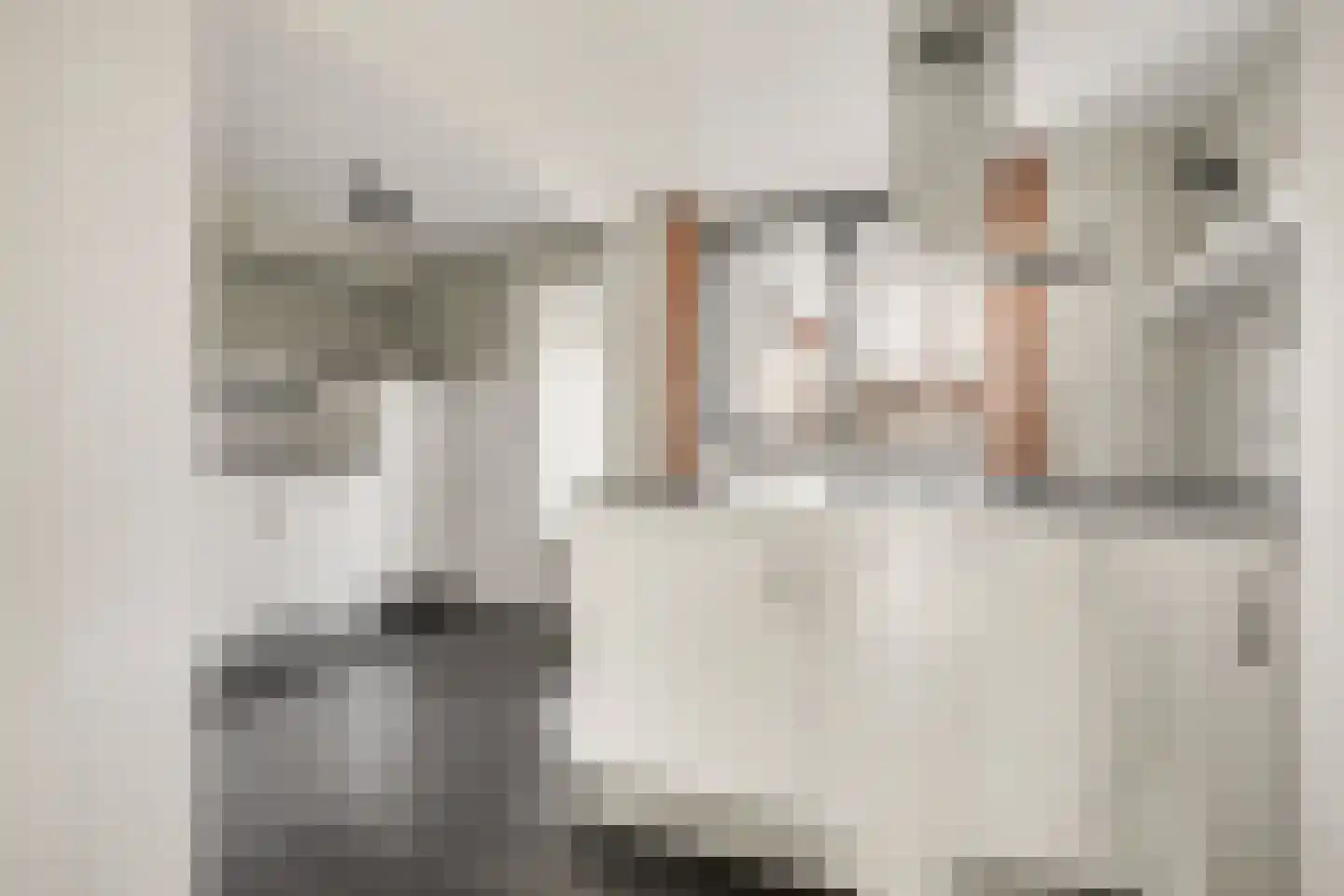 Pathmossingel 234 Enschede thumbnail 11
