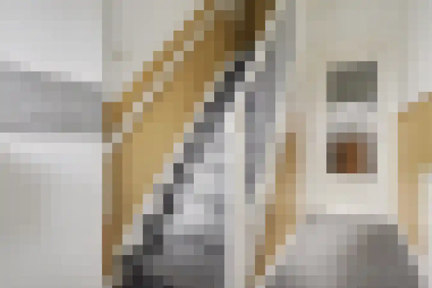 Pathmossingel 234 Enschede thumbnail 17