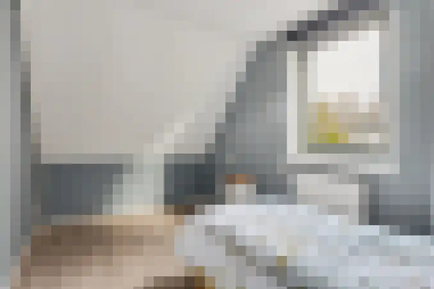 Pathmossingel 234 Enschede thumbnail 22