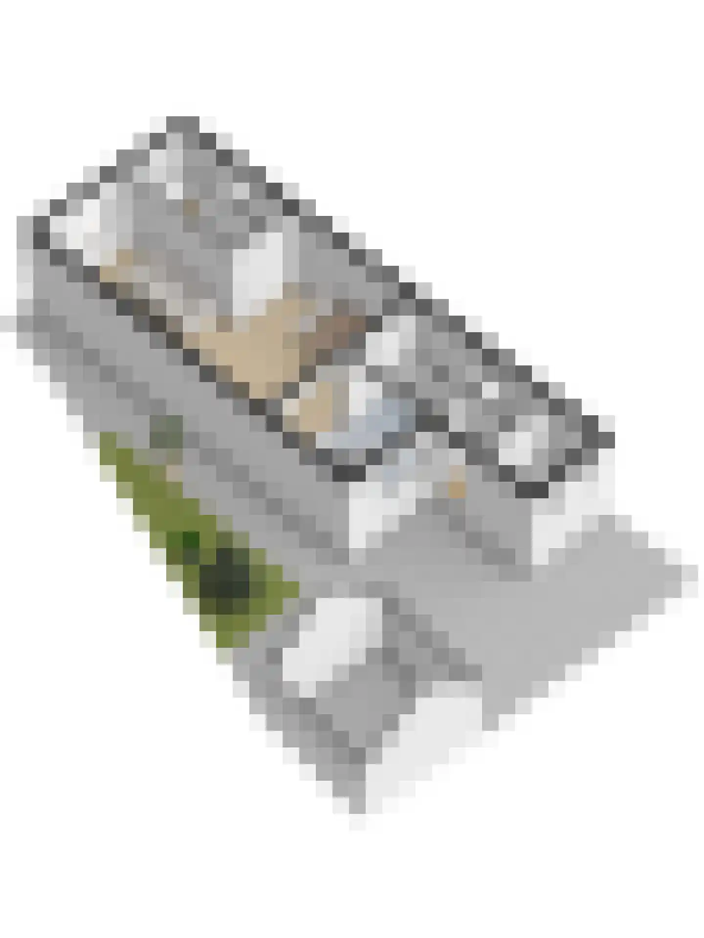 Pathmossingel 234 Enschede thumbnail 42