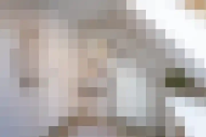 Pathmosstraat 51 Enschede thumbnail 33