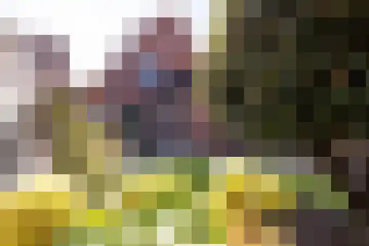 Pathmosstraat 51 Enschede thumbnail 40