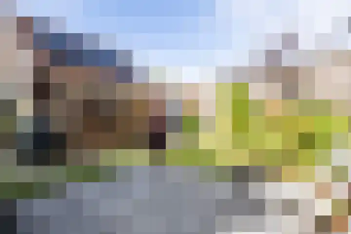 Pathmosstraat 51 Enschede thumbnail 42