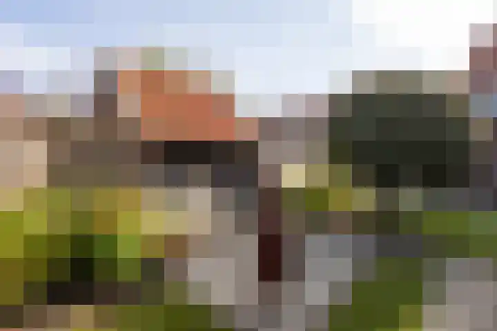Pathmosstraat 51 Enschede thumbnail 43