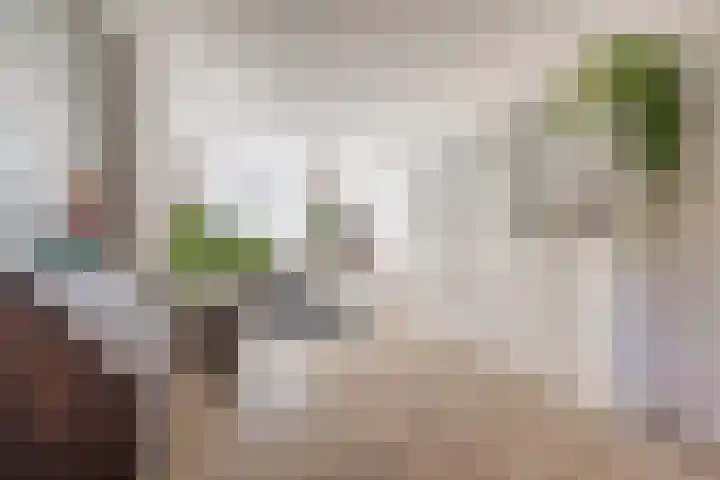 Pathmosstraat 51 Enschede thumbnail 9