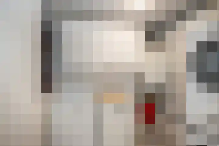 Patijnestraat 10 Maassluis thumbnail 13